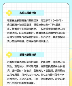 石斛花怎么养,掌握关键技巧,轻松养出好状态 石斛花怎么养,掌握关键技巧,轻松养出好状态