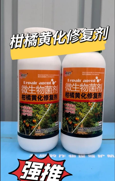防治柑桔黄化树针剂,解决叶片发黄,恢复树势生长 防治柑桔黄化树针剂,解决叶片发黄,恢复树势生长