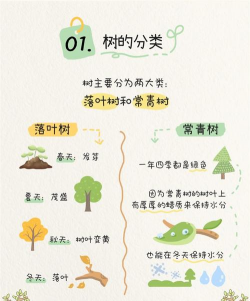 防治弱树,识别原因,科学处理 防治弱树,识别原因,科学处理