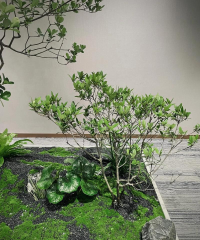 日式室内绿化设计公司,打造自然空间,提升生活品质 日式室内绿化设计公司,打造自然空间,提升生活品质