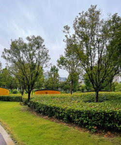 承德市内绿化设计,提升城市颜值,改善居住环境 承德市内绿化设计,提升城市颜值,改善居住环境