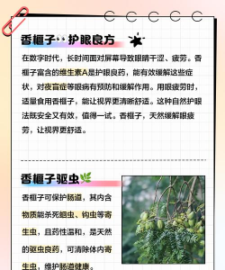 香榧树病虫防治方案,识别常见问题,掌握应对技巧 香榧树病虫防治方案,识别常见问题,掌握应对技巧