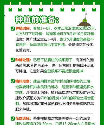 室内花卉栽培,新手入门指南,轻松养好花 室内花卉栽培,新手入门指南,轻松养好花