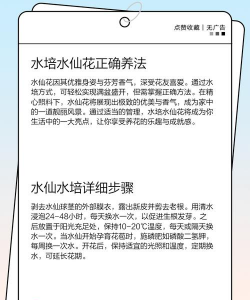 水泡转运珠花怎么养,掌握关键技巧,轻松养出好状态 水泡转运珠花怎么养,掌握关键技巧,轻松养出好状态