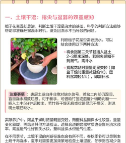 栀子花水养方法,轻松掌握技巧,花开更持久 栀子花水养方法,轻松掌握技巧,花开更持久