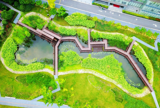 海绵城市路面绿化设计,提升城市生态,优化雨水管理 海绵城市路面绿化设计,提升城市生态,优化雨水管理