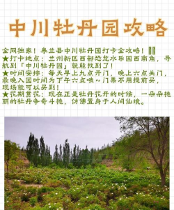 皋兰绿化设计地址,怎么找最靠谱,实地考察别忽略 皋兰绿化设计地址,怎么找最靠谱,实地考察别忽略