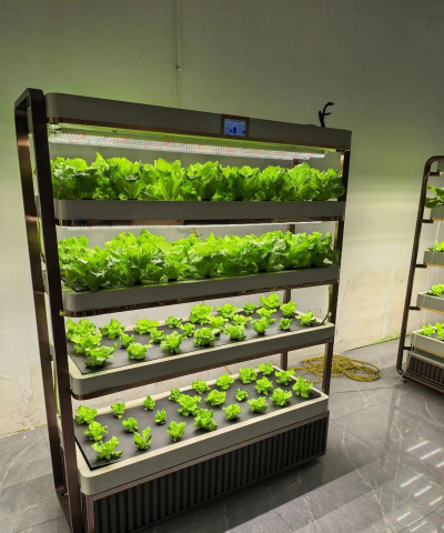 室内无土栽培蔬菜设备,新手入门指南,轻松打造家庭菜园 室内无土栽培蔬菜设备,新手入门指南,轻松打造家庭菜园