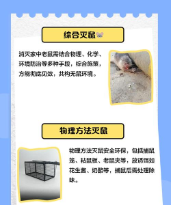 老鼠拱树防治办法,常见问题解析,实用操作指南 老鼠拱树防治办法,常见问题解析,实用操作指南