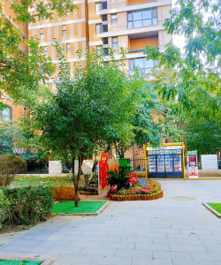 小区内设计绿化,提升居住品质,打造舒适环境 小区内设计绿化,提升居住品质,打造舒适环境
