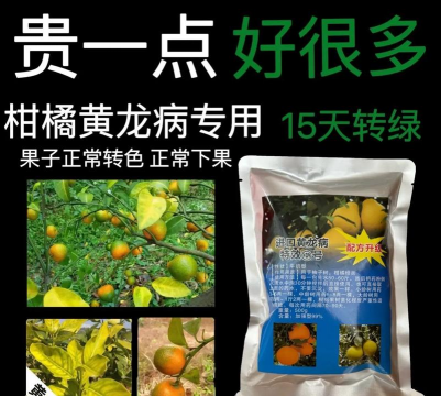 黄龙黄化树防治方法,识别早期症状,采取综合措施 黄龙黄化树防治方法,识别早期症状,采取综合措施