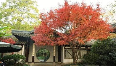 绿化设计平面鱼池图,打造庭院美景,提升生活品质 绿化设计平面鱼池图,打造庭院美景,提升生活品质