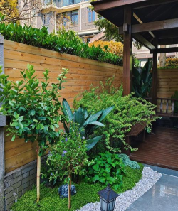 庭院栽培花,新手入门指南,轻松打造花园 庭院栽培花,新手入门指南,轻松打造花园