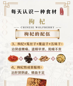 枸杞保健知识 枸杞保健知识