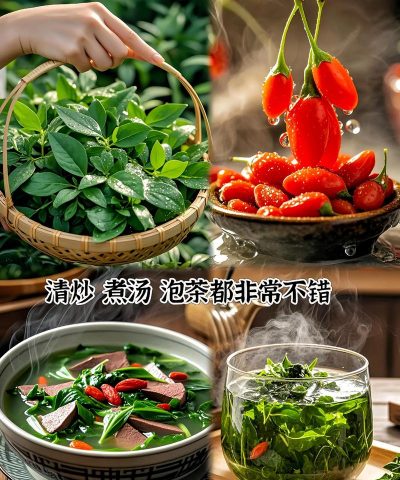 宁夏枸杞的硬枝扦插育苗 宁夏枸杞的硬枝扦插育苗