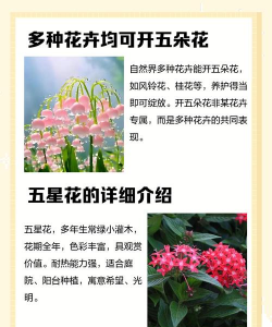 什么花开放5天 什么花开放5天