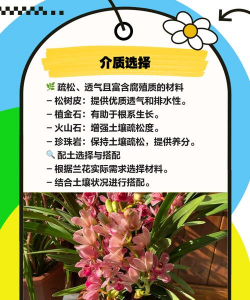 兰花配音土怎么配 兰花配音土怎么配