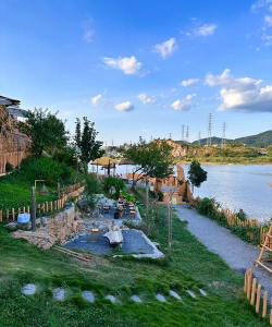 怎么养花，新手入门，轻松上手