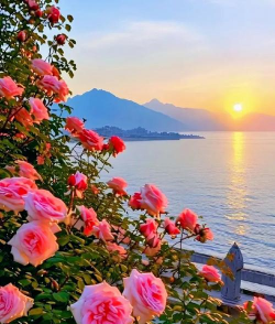 小众送妈妈的花有哪些花