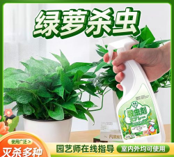 家里阳光不足怎么养花，选对植物种类，掌握养护技巧