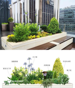 家里阳光不足怎么养花，选对植物种类，掌握养护技巧