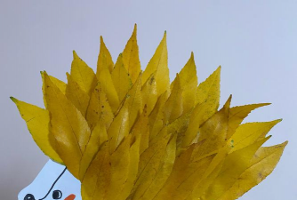 家里阳光不足怎么养花，选对植物种类，掌握养护技巧