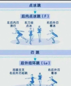 家里阳光不足怎么养花，选对植物种类，掌握养护技巧