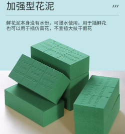 家里阳光不足怎么养花，选对植物种类，掌握养护技巧