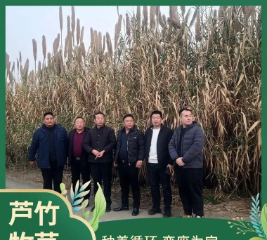 家里阳光不足怎么养花，选对植物种类，掌握养护技巧
