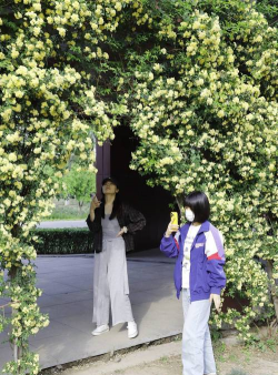 家里阳光不足怎么养花，选对植物种类，掌握养护技巧