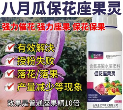 家里阳光不足怎么养花，选对植物种类，掌握养护技巧