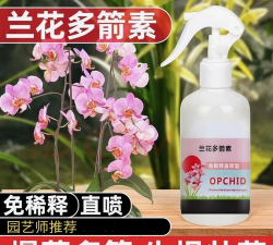 家里阳光不足怎么养花，选对植物种类，掌握养护技巧