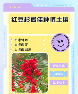 家里阳光不足怎么养花，选对植物种类，掌握养护技巧