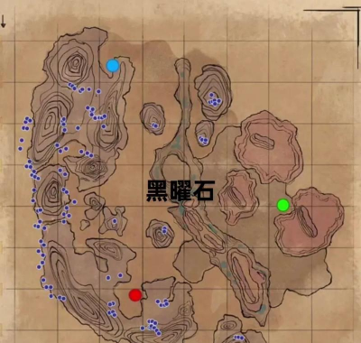 家里阳光不足怎么养花，选对植物种类，掌握养护技巧