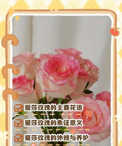 家里阳光不足怎么养花，选对植物种类，掌握养护技巧