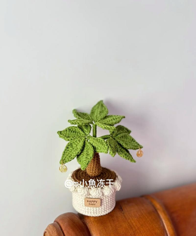 家里阳光不足怎么养花，选对植物种类，掌握养护技巧