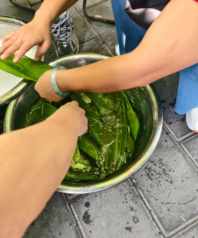 家里阳光不足怎么养花，选对植物种类，掌握养护技巧