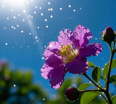 家里阳光不足怎么养花，选对植物种类，掌握养护技巧