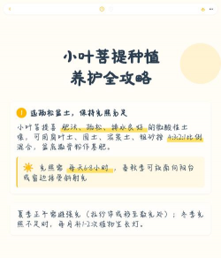 家里阳光不足怎么养花，选对植物种类，掌握养护技巧