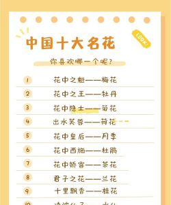 家里阳光不足怎么养花，选对植物种类，掌握养护技巧