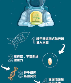 家里阳光不足怎么养花，选对植物种类，掌握养护技巧