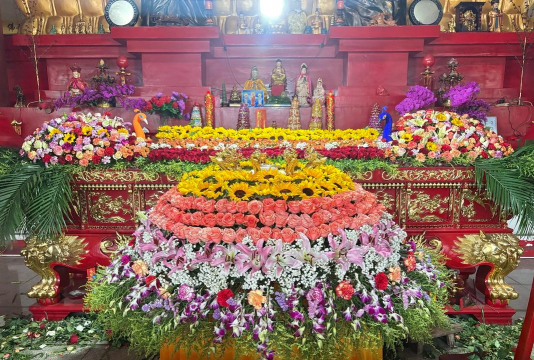 家里阳光不足怎么养花，选对植物种类，掌握养护技巧