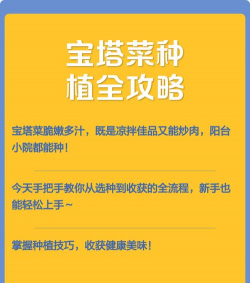 家里阳光不足怎么养花，选对植物种类，掌握养护技巧