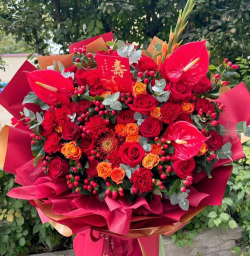 家里阳光不足怎么养花，选对植物种类，掌握养护技巧