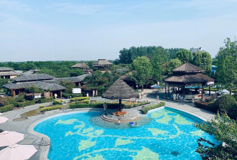 家里阳光不足怎么养花，选对植物种类，掌握养护技巧