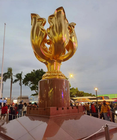 家里阳光不足怎么养花，选对植物种类，掌握养护技巧