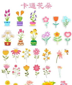 家里阳光不足怎么养花，选对植物种类，掌握养护技巧