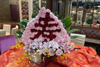 家里阳光不足怎么养花，选对植物种类，掌握养护技巧