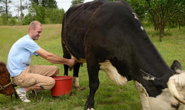 小众送妈妈的花有哪些花