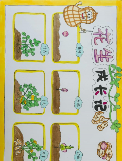 家里阳光不足怎么养花，选对植物种类，掌握养护技巧